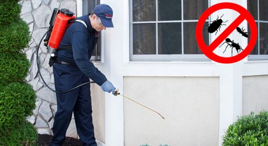 Canik Bit İlaçlama böcek ilaçlama ve haşere kontrolü — ilaclama-tr.com